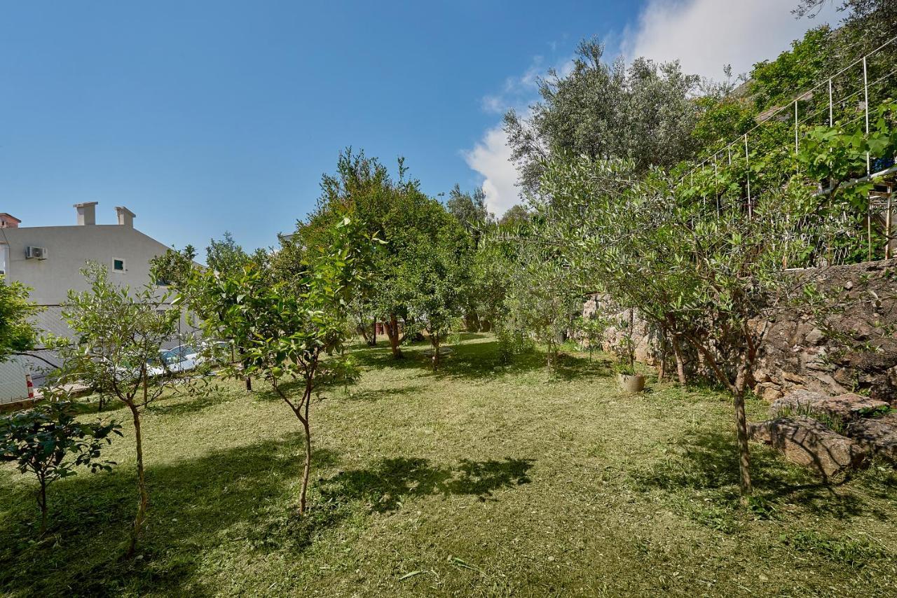 Apartmani Kuca U Maslinama Sveti Stefan Ngoại thất bức ảnh